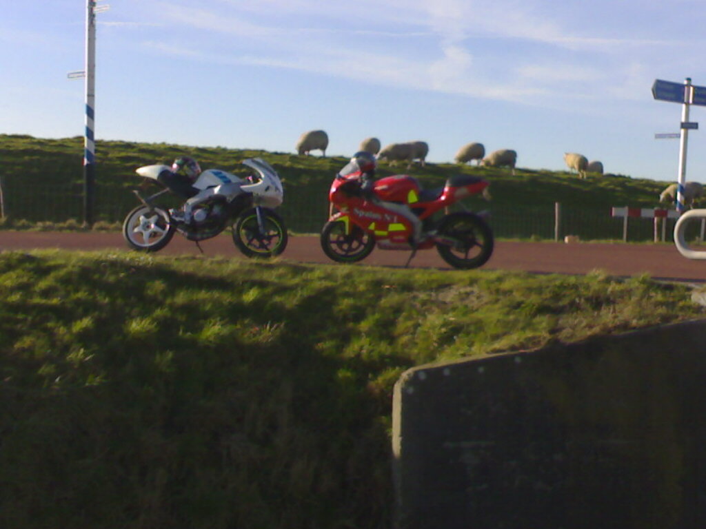 100220081217.jpg