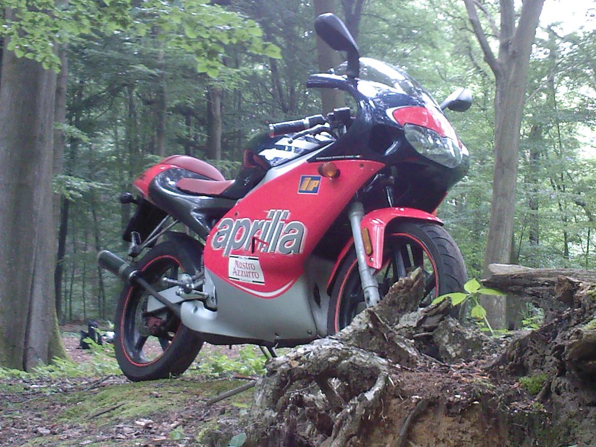 nice pic beter.JPG