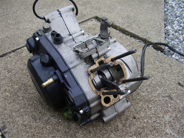 am5 1.JPG