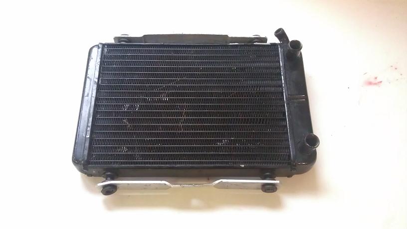 malossi mhr zip radiateur.jpg