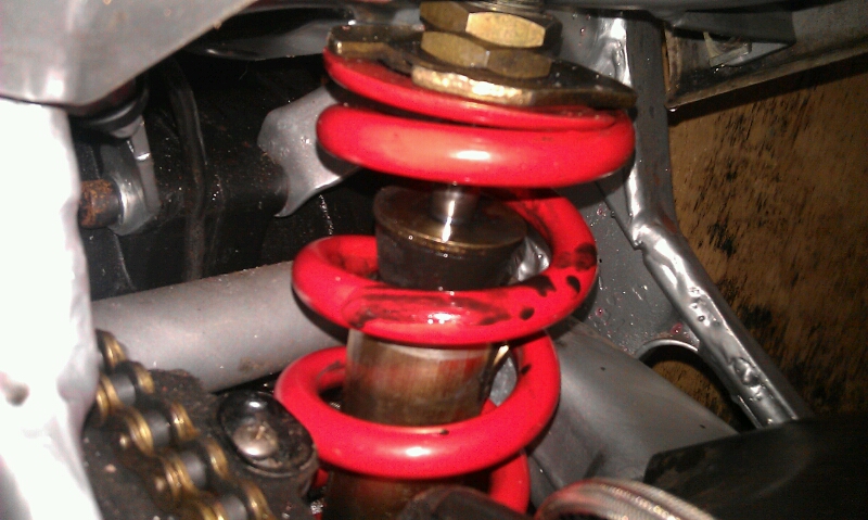 IMAG0691.jpg