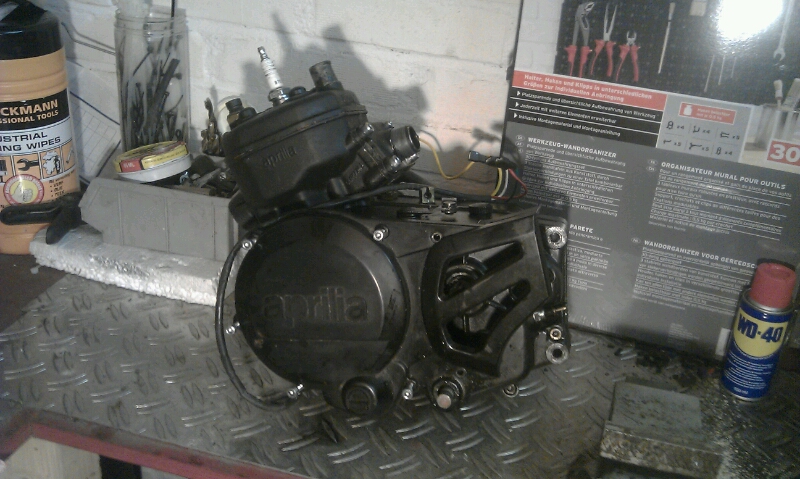 IMAG0775.jpg