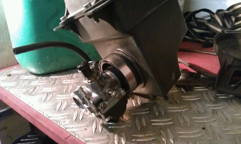 IMAG0823.jpg