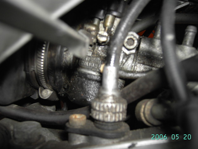 PICT0421.JPG