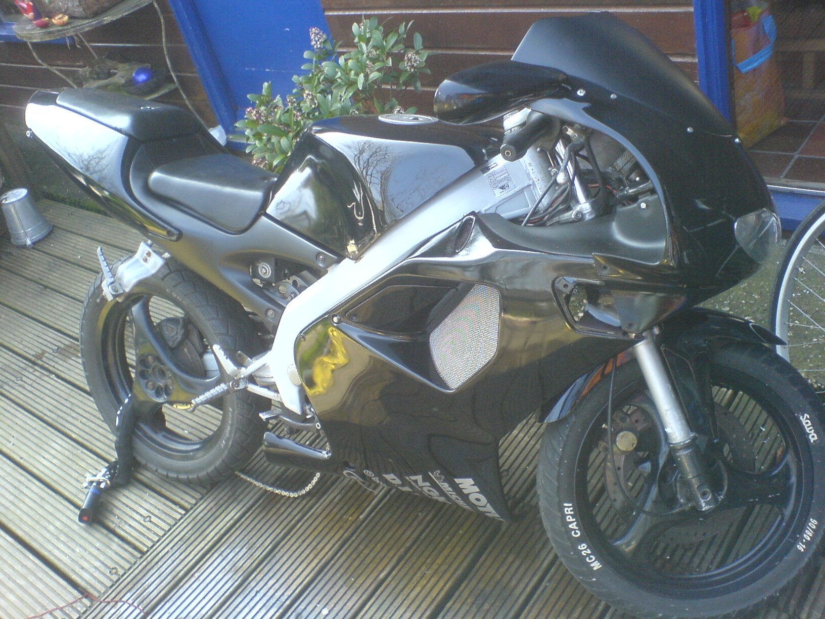 spece 030.jpg