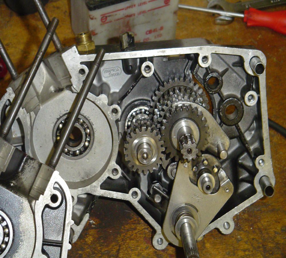 test15.jpg